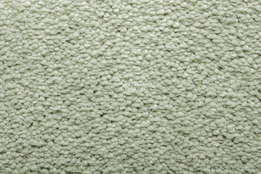 Vorwerk Superior 1067 Mira Vorwerk 4g82 фото 6 | FLOORDEALER